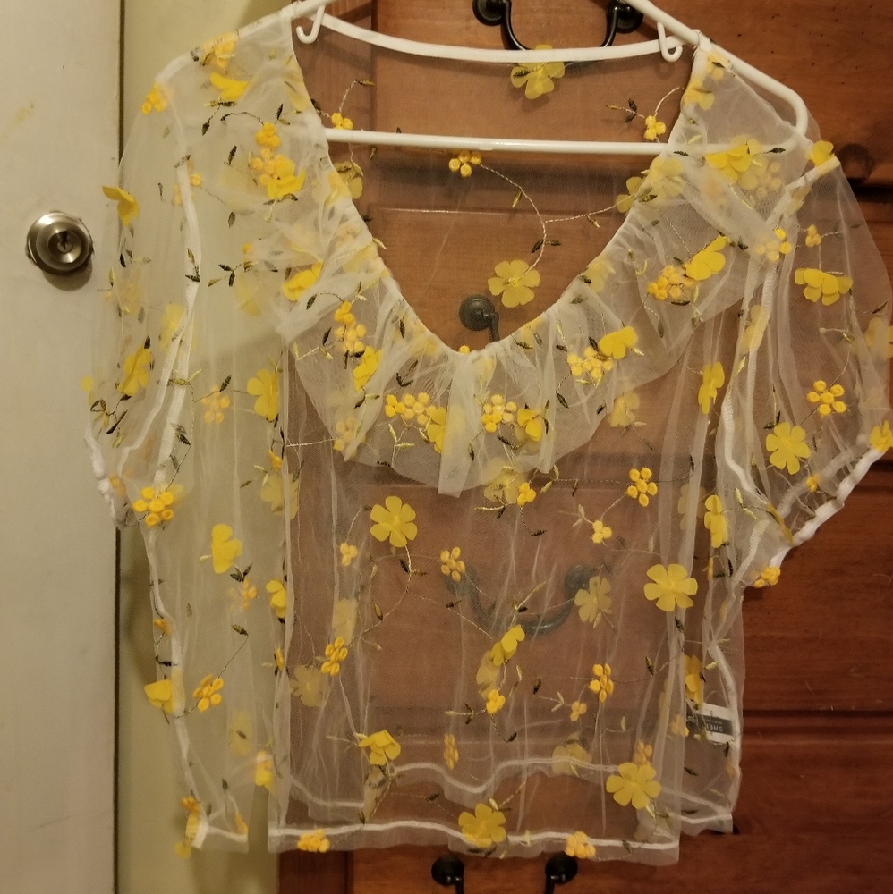 Plus Floral Applique Sheer Embroidery Mesh Top